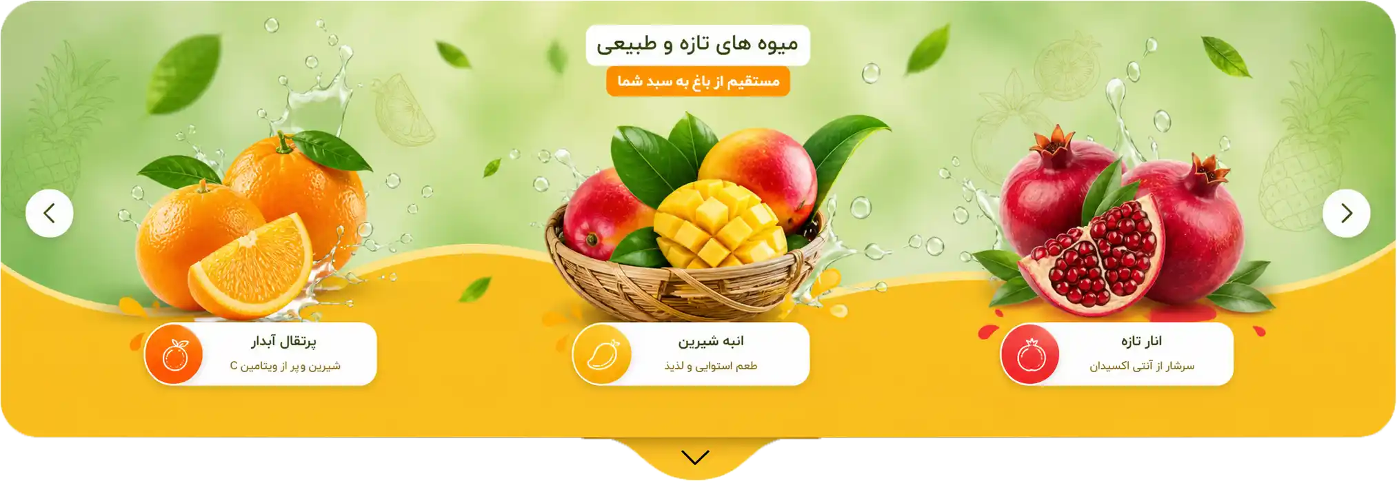 میوه هایی استوایی