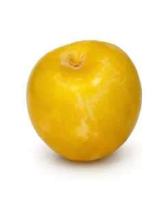 الو قطره طلا