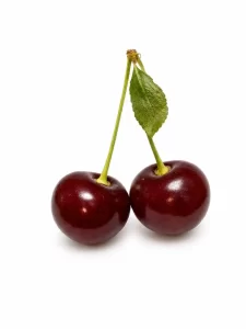 گیلاس